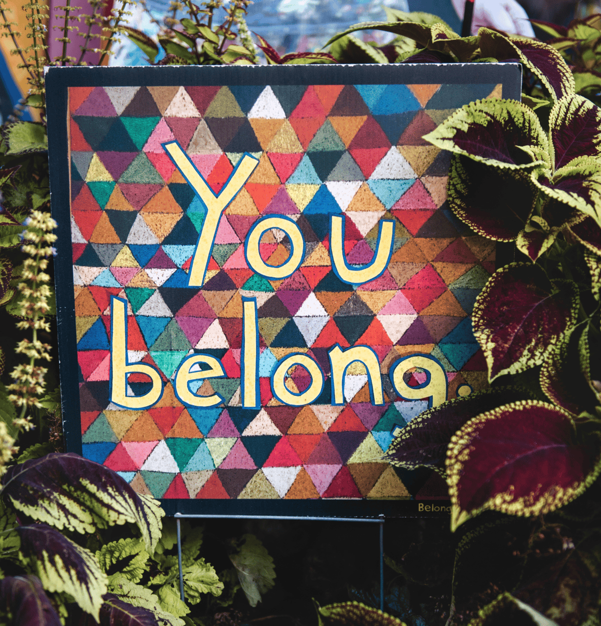 Cultural Diversity in mental health for Harmony Week. A poster of abstract triangles of many colours with the words "you belong" in white handwriting overtop, surrounded by lush green leaves and plants.